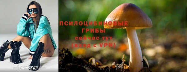 мескалин Беломорск